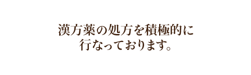 漢方薬の処方を積極的に行なっております。